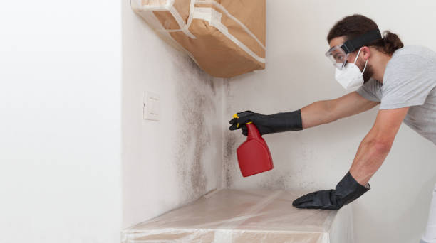 Professional Basement Mold Remediation technician working in Saxapahaw, NC
