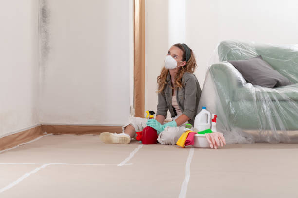 Reliable Basement Mold Remediation contractor in Saxapahaw, NC by WQB Mold Removal